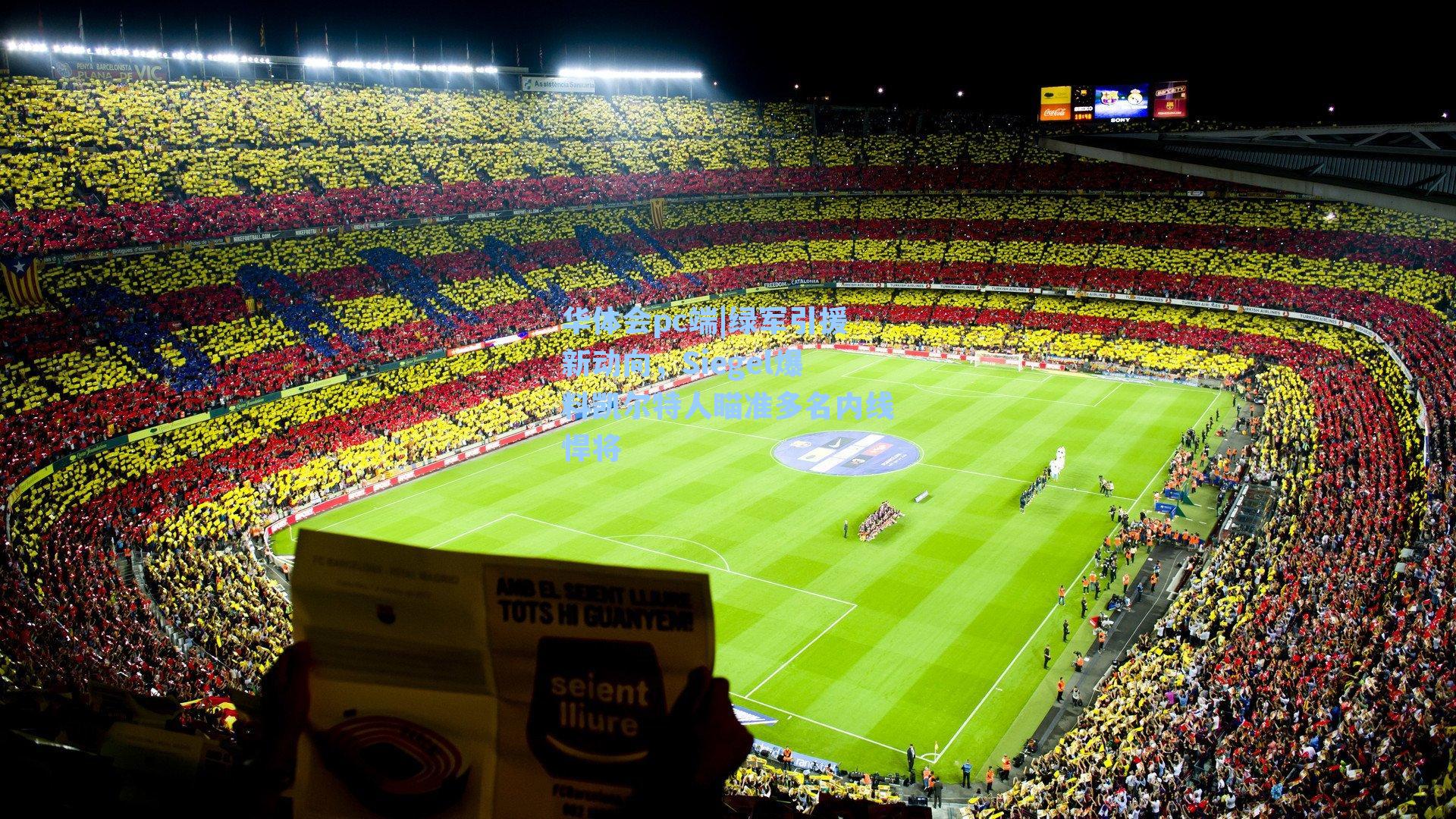 华体会pc端|绿军引援新动向，Siegel爆料凯尔特人瞄准多名内线悍将