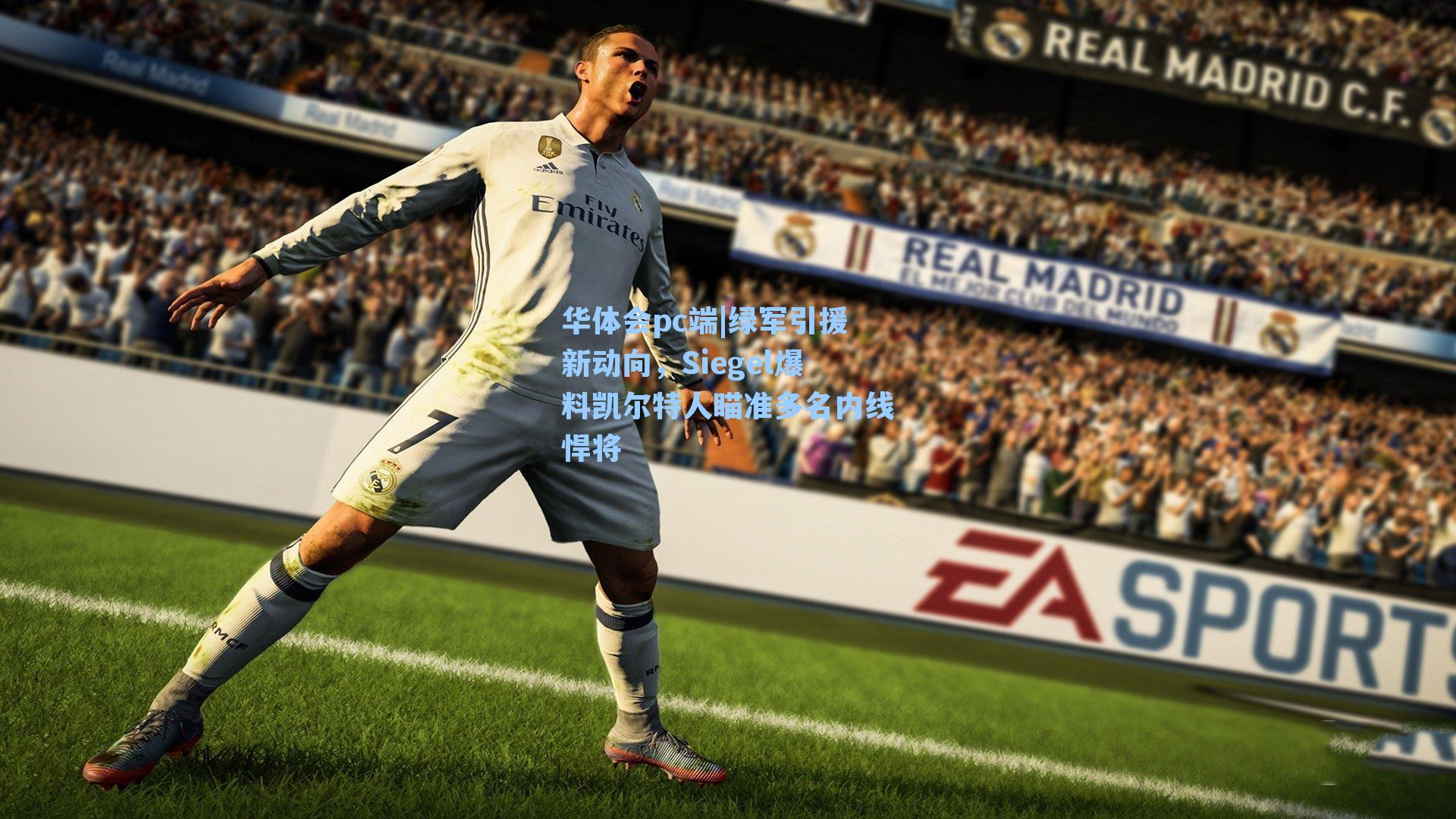 绿军引援新动向,Siegel爆料凯尔特人瞄准多名内线悍将