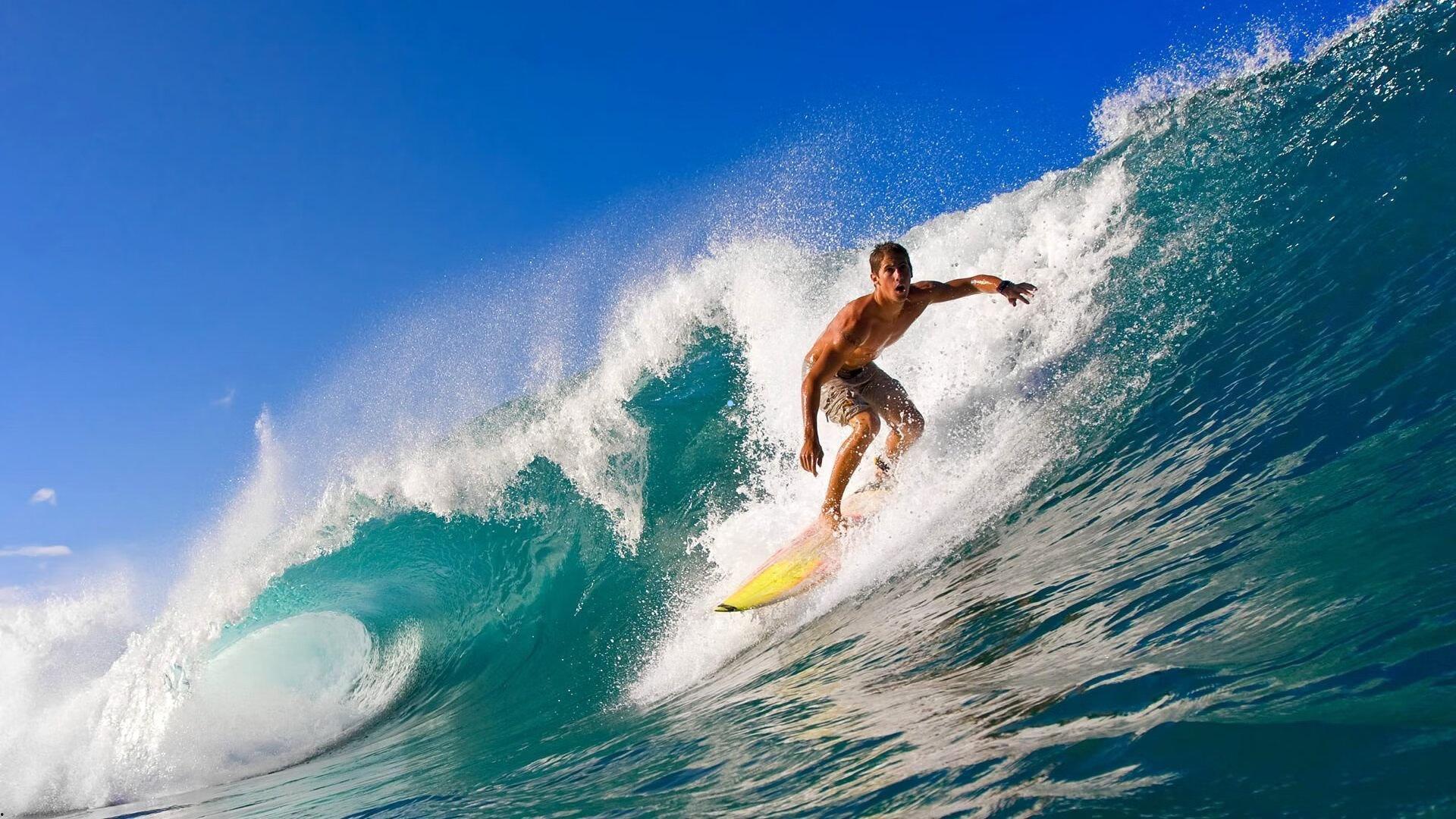 运动营养新焦点，夜间蛋白粉摄入与肾脏健康的科学平衡